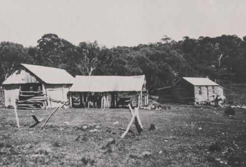 Farm Ridge huts, Kosciuszko National Park, New South Wales, 1930s [picture]