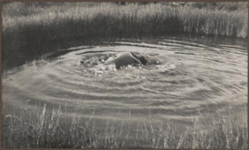 Bubbling spring near Coward Springs, South Australia, 1938 [picture] / Clarence Bernhardt