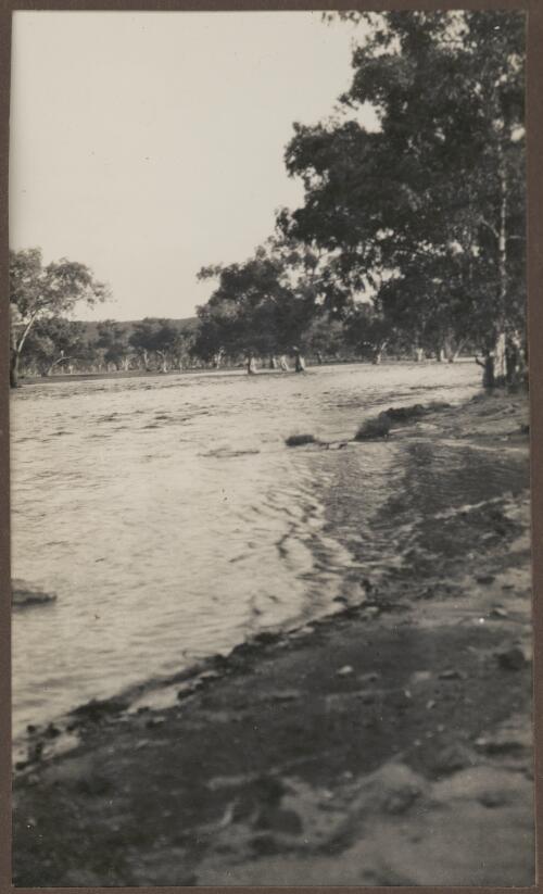 Todd River in flood, Alice Springs, Northern Territory, 1939 [picture] / Clarence Bernhardt