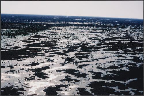 Channel country in south-west Queensland in flood, Nappa Merrie Station, Cooper Creek, August 1983 [picture] / [Peter Taylor]