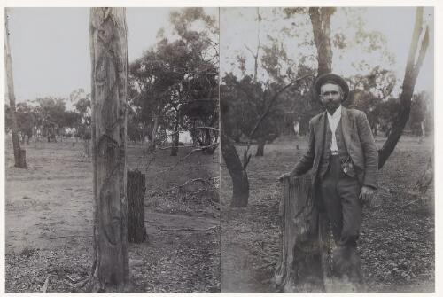 Edmund Milne [?] standing next to the carved trees, Goobothery Hill, New South Wales, 21 July 1913 [picture]