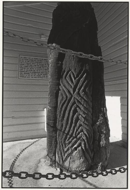 Carved tree under the verandah of the school in Eugowra, New South Wales, 2001, 2 [picture] / Jon Rhodes