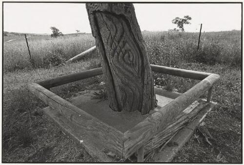 Carved tree at Molong, New South Wales, 2001, 2 [picture] / Jon Rhodes