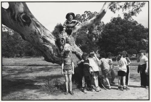 Ngambri scarred tree, Wanniassa, Australian Capital Territory, 1998, 4 [picture] / Jon Rhodes