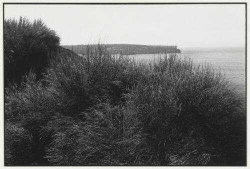 Grotto Point, New South Wales, 2002, 2 [picture] / Jon Rhodes