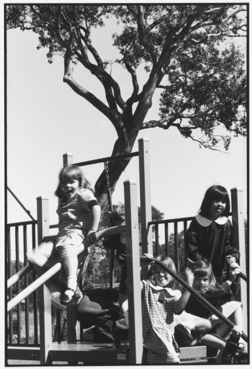 Children on playground equipment in front of a canoe tree, Wanniassa, Australian Capital Territory, 1998, 2 [picture] / Jon Rhodes