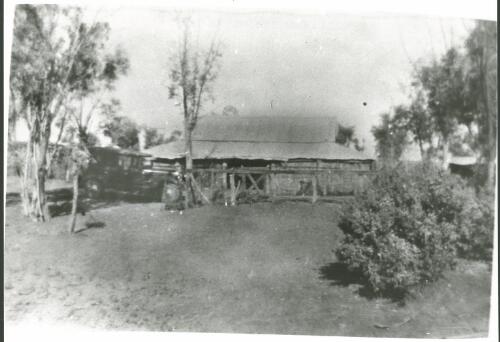 Mt Dare Station, Northern South Australia, ca. 1931 [picture] / [photographer unknown]