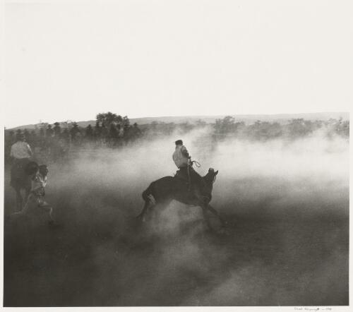 Breaking in horses at Negri, Northern Territory, ca. 1947 [picture] / Axel Poignant