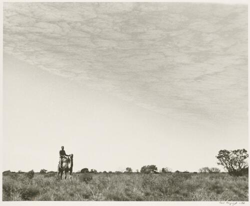 Wilson, the leader of the expedition on the Canning Stock Route, Western Australia, 1942 [picture] / Axel Poignant