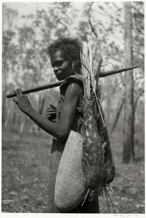 Morerur, Narrana's wife gathers food, Liverpool River Region, Arnhem Land, Northern Territory, 1952 [picture] / Axel Poignant