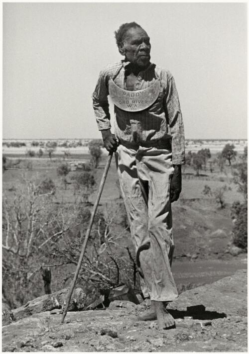 Paddy King of Ord River, Western Australia, 1947 [picture] / Axel Poignant