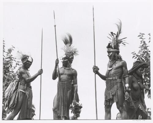 Warriors in the Western Highlands Province, Papua New Guinea, 1969 [picture] / Axel Poignant