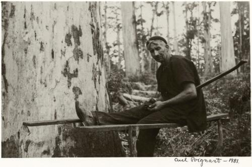 The axeman, logging in the Karri Forest, Pemberton, Western Australia, ca. 1934 [picture] / Axel Poignant