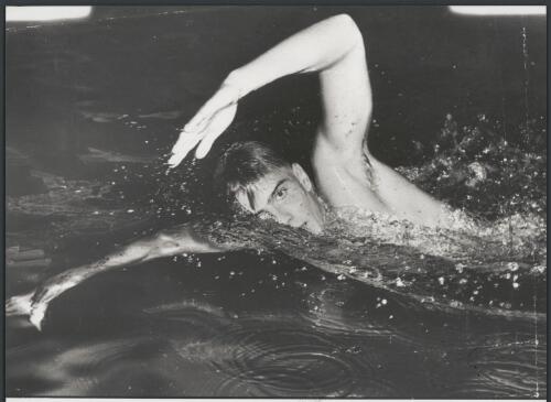 Australian swimmer Murray Rose during the 400 metres freestyle race at the Olympic pool, Melbourne, 1956 [picture] / Bruce Howard