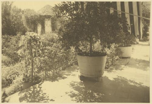 Exterior view of Purulia house, with garden and gazebo in background, Wahroonga, New South Wales, ca. 1919 [picture] / Harold Cazneaux