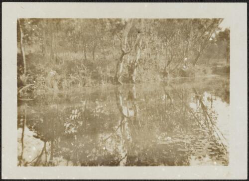 Lagoon, Arnhem Land, Northern Territory, 1928 [picture] / Donald Mackay
