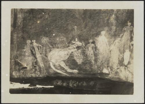 Rock paintings, Arnhem Land, Northern Territory, 1928 [picture] / Donald Mackay