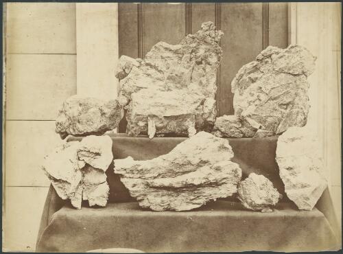Reef gold from the Star of Hope mine, Hill End, New South Wales, ca. 1872 [picture]