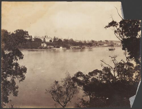 View from Farm Cove across to Government House, Sydney, ca. 1880 [picture]/ Charles Bayliss
