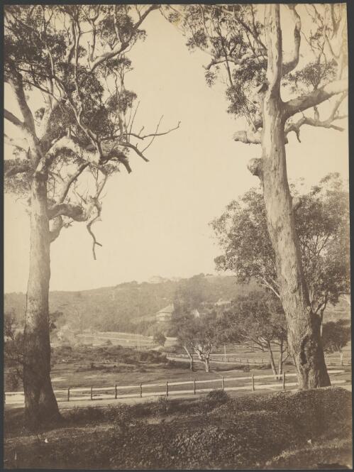 Etham House overlooking Colebrook [?] on New South Head and Bellevue Roadsand, Double Bay, Sydney, ca. 1875 [picture]