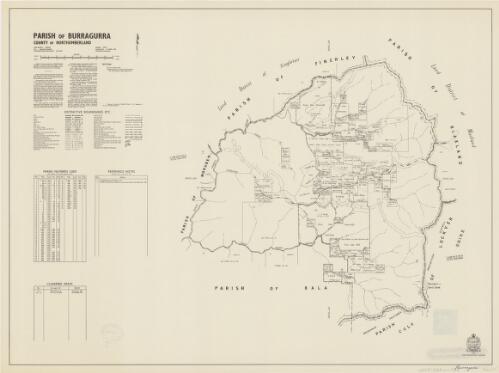 Parish of Burragurra, County of Northumberland [cartographic material] / printed & published by Dept. of Lands Sydney