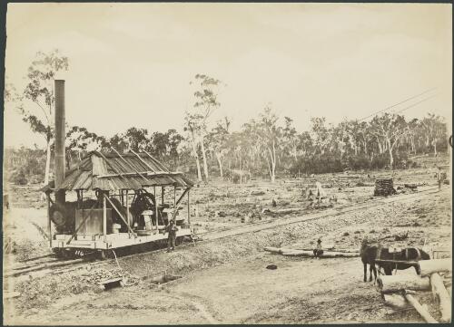 Steam donkey on rails driving gold mining machinery, Wilson's Reef, Trunkey, New South Wales, ca. 1873 [picture]