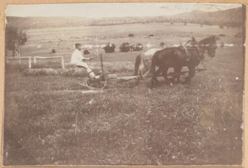 Young man on a horse-drawn plough, Woden, Canberra, 1914 / W.A.S. Dunlop
