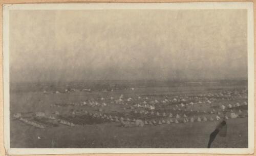 Distant view of the 4th Light Horse Regiment at Mena Camp near Cairo, Egypt, 1914