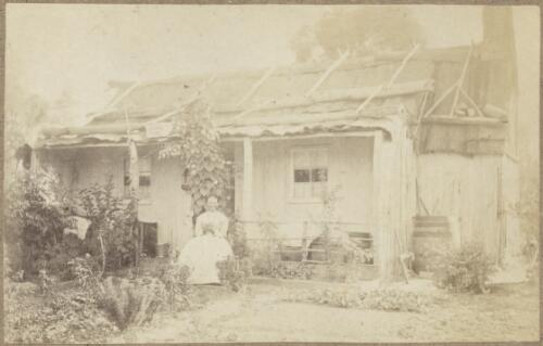 Woman seated in the garden of her slab hut with veranda and bark roof, Hill End, New South Wales, ca.1872 [picture]