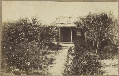 Bark roofed hut with established front garden, Hill End, New South Wales, ca.1872 [picture]