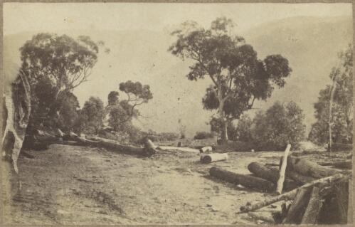 Logging site in the hills, Hill End region [?], New South Wales, ca.1872 [picture]