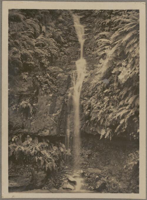 Linda Falls, Katoomba, New South Wales, ca. 1926 [picture]