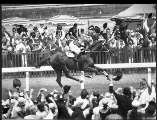 Recreation of Phar Lap wins the Melbourne Cup again, 13 November 1982 [picture] / Bruce Howard