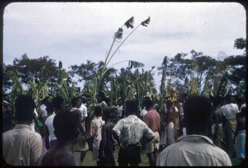 Sing-sing on Boxing Day at the Old Football Oval, Lae, between 1955 and 1960, [8] [transparency] / Tom Meigan