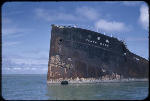 Wreck of the Japanese ship Tenyo Maru, sunk during World War II [transparency] / Tom Meigan