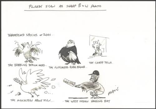 Threatened species of 2001 [picture] / Moir