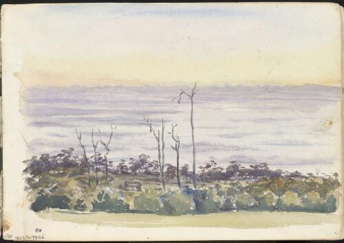 Bushland with a small structure and several tall bare trees in the foreground and a mauve background towards the horizon, with a yellow sky, ca. 1885 [picture] / H.J. Graham