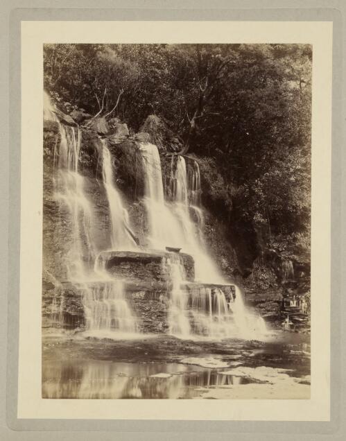 Cascades at Katoomba Falls, Blue Mountains, New South Wales, ca. 1895 [picture] / Kerry & Co