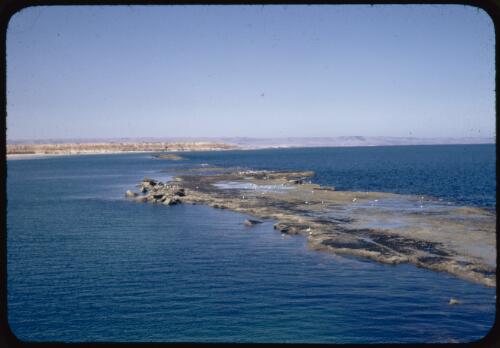 Reef at Port Noarlunga, South Australia, 13 March 1948 [transparency] / Robert Miller