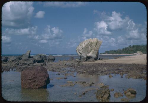 Totem site west of  Yirrkala, Northern Territory, 27 August 1948 [transparency] / Robert Miller