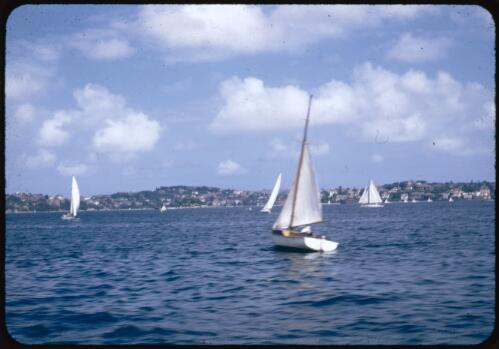Sailing boats on Sydney Harbour, 21 February 1948 [transparency] / Robert Miller