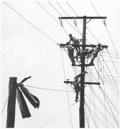 Aftermath of the Killarney tornado, four workmen repairing the powerlines, Queensland, 26 November 1968 [picture] / Bruce Postle