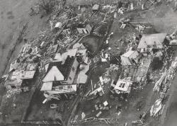 Aftermath of the Killarney tornado, Queensland, 26 November 1968 [picture]