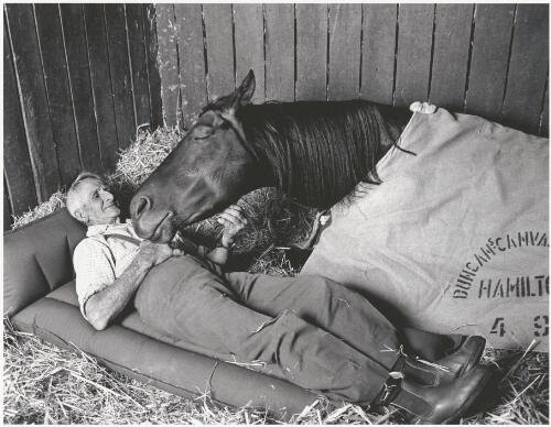Racehorse trainer Tommy Woodcock with his champion racehorse Reckless on the night before running second to Gold and Black in the Melbourne Cup of 1977, Flemington, 1 November 1977 [picture] / Bruce Postle