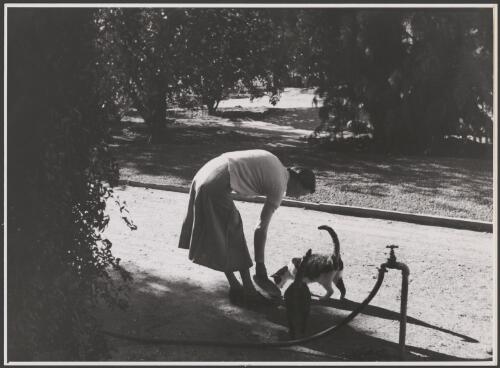 Helen White feeding the cats at Burren Burren homestead, near Collarenebri, New South Wales, ca. 1951 [picture] / Francis Reiss