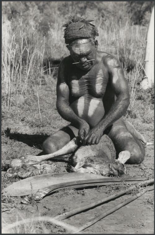 Walpiri hunter gutting a kangaroo, Northern Territory, 1974 [picture] / Jeff Carter