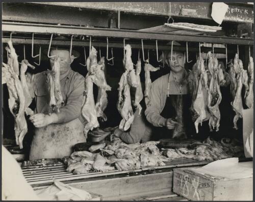 Two men processing rabbit meat at McGrath's, Melbourne, 1957 [picture] / Jeff Carter