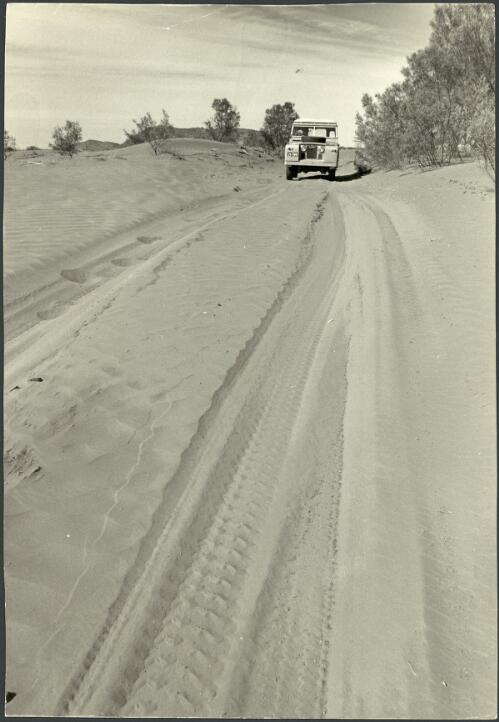 The old Birdsville Track, 1963 [picture] / Jeff Carter