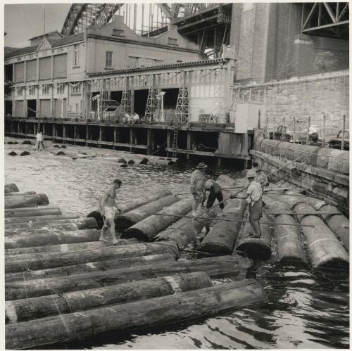 Imported logs from south-east Asia are unloaded at Finger Wharf, Walsh Bay, Sydney, 1958 [picture] / Jeff Carter