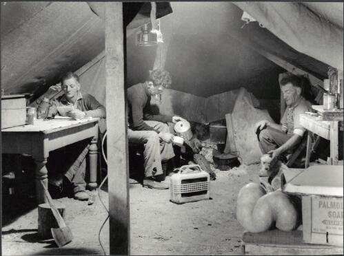 Horse teamsters in their camp, Murrumbidgee Irrigation Area, New South Wales, ca. 1957 [picture] / Jeff Carter